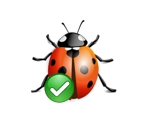 wordpress bug free